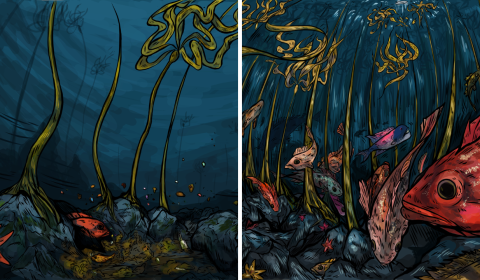 Two illustrated panels. On the left side, a barren seafloor with just a few pieces of bull kelp. On the right side is a vibrant seafloor with a forest of kelp, plentiful rockfish, and a diverse range of other marine life.