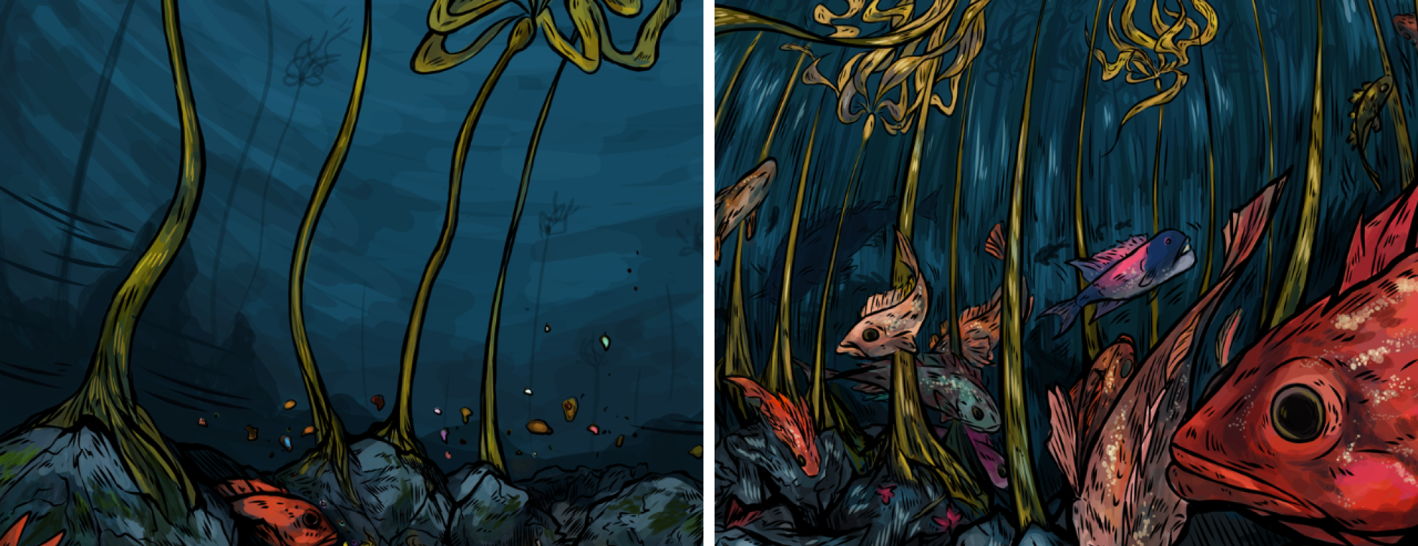 Two illustrated panels. On the left side, a barren seafloor with just a few pieces of bull kelp. On the right side is a vibrant seafloor with a forest of kelp, plentiful rockfish, and a diverse range of other marine life.
