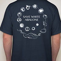 Shirt Back