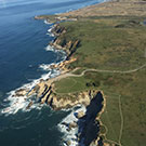 Bodega Head