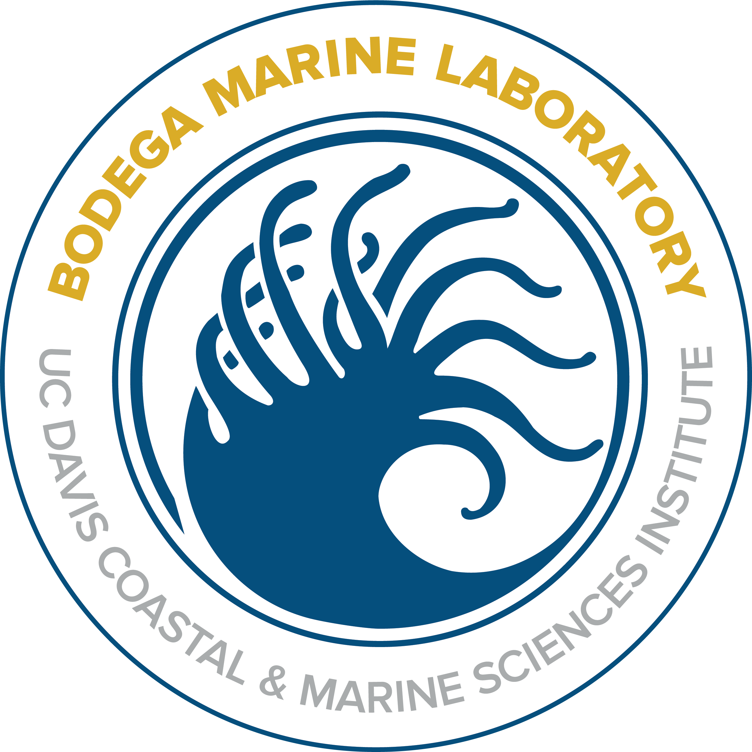 BML Logo