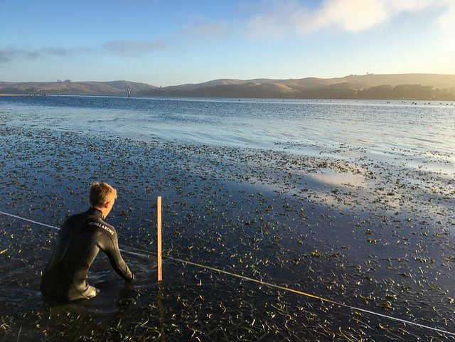 Ben Rubinoff's Fieldwork