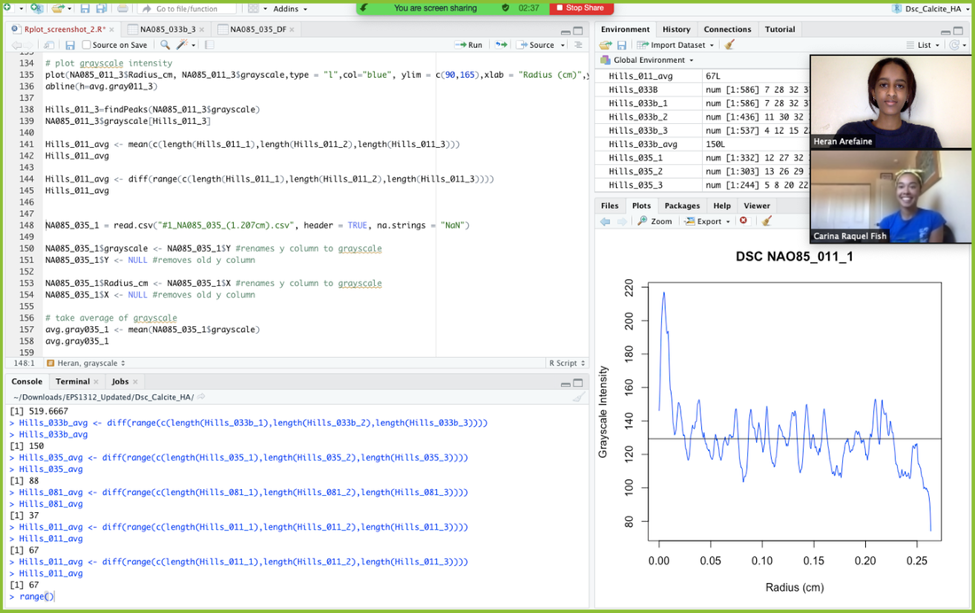 Heran Arefaine and her mentor, Carina Fish, working with software program R through a zoom call. Photo by: Heran A.