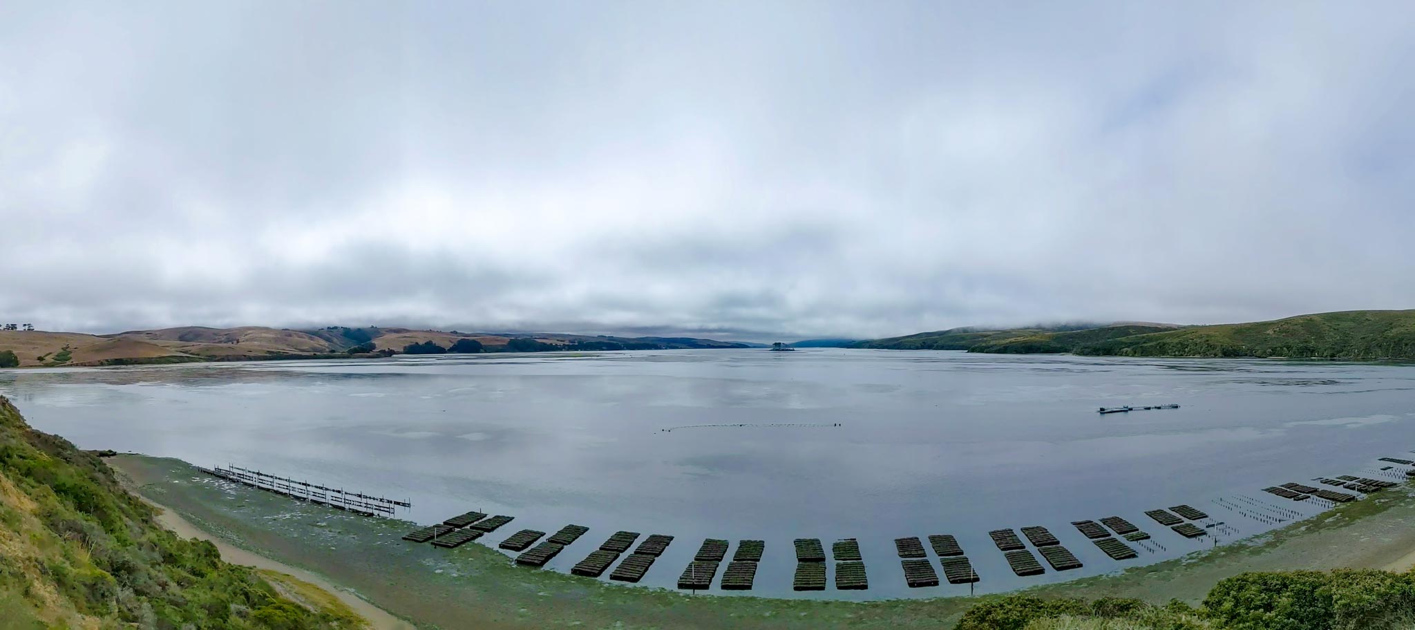 Panoramic View of Tomales Bay