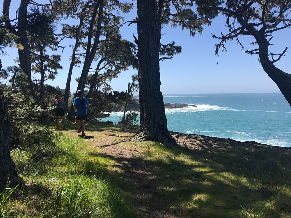 Five miles to go!  I was feeling extra motivated by the beautiful Mendocino coast.