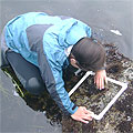 intertidal