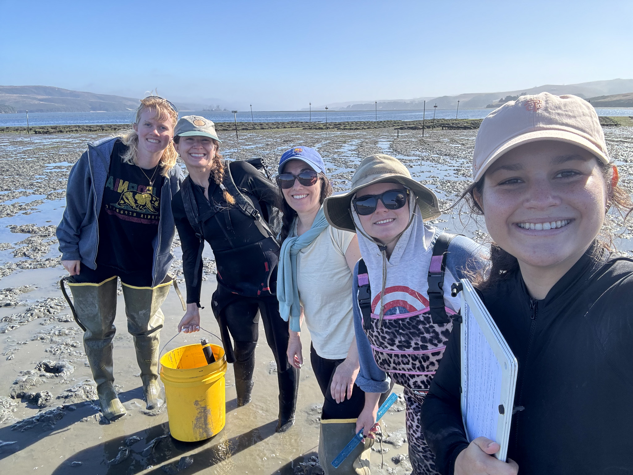 Six people smiling on a sunny tidal flat, wearing boots; yellow bucket and clipboard