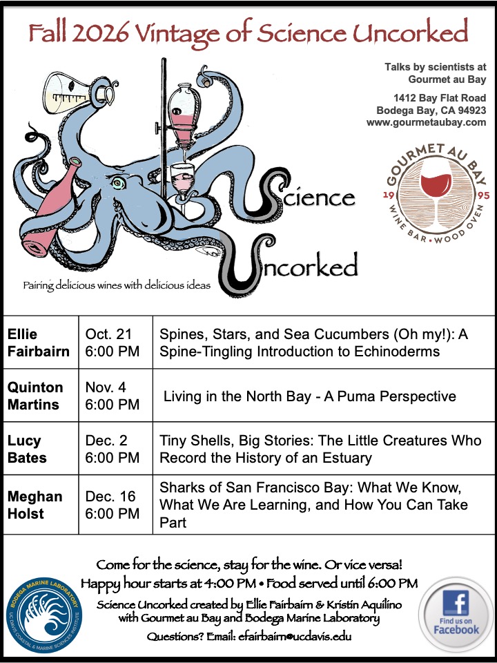 Illustration of an octopus bartender pouring wine, event flyer with schedule and logo