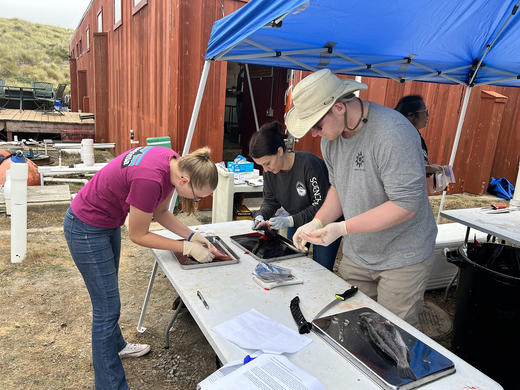 Three scientists standing around a table, working on the dissection of a fish.