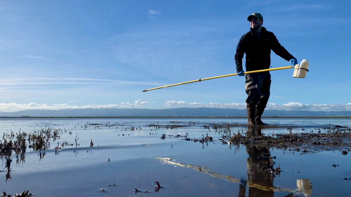 A person walking through an area of vernal pools holding a long pole with a sampling bottle attached to it.
