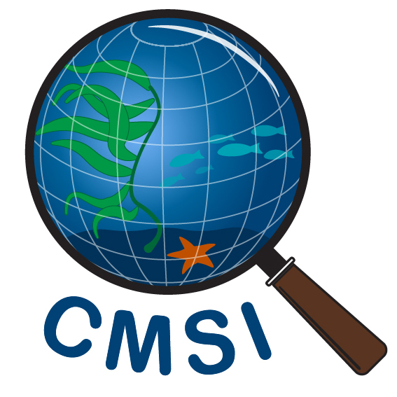 An illustrated globe in a magnifying glass with the letters CMSI