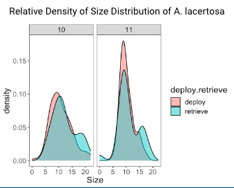 A figure that shows the density and distribution of A. lacertosa