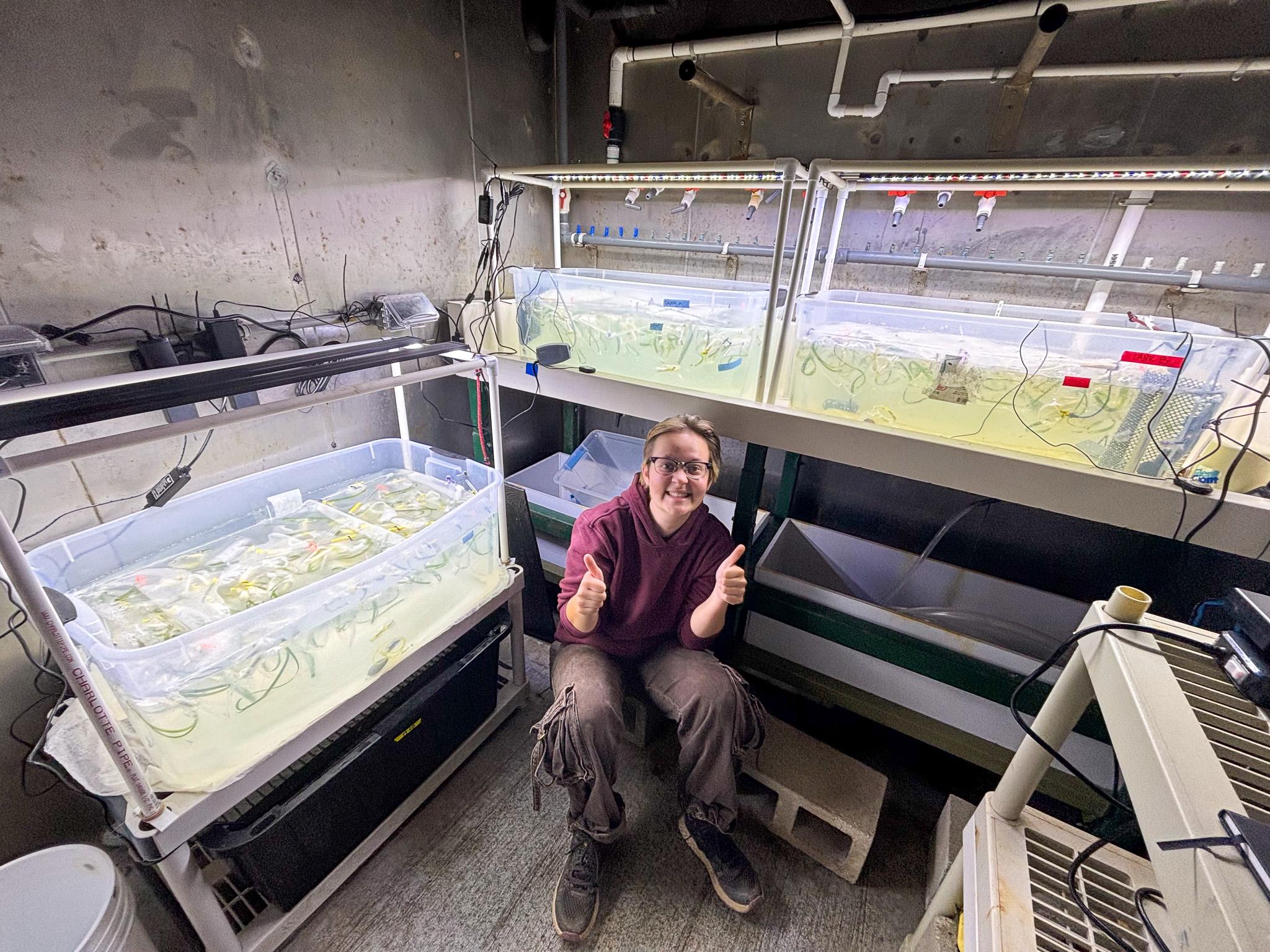 Leo Konefat crouches next to a lab experiment set up in large plastic tubs.