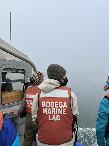 A person in an orange Bodega Marine Lab life vest, viewed from behind as they stand on a boat.