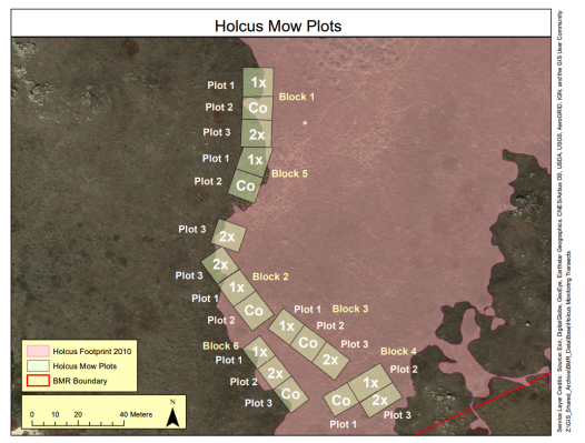 A map that shows mowing plots of Holcus throughout the area
