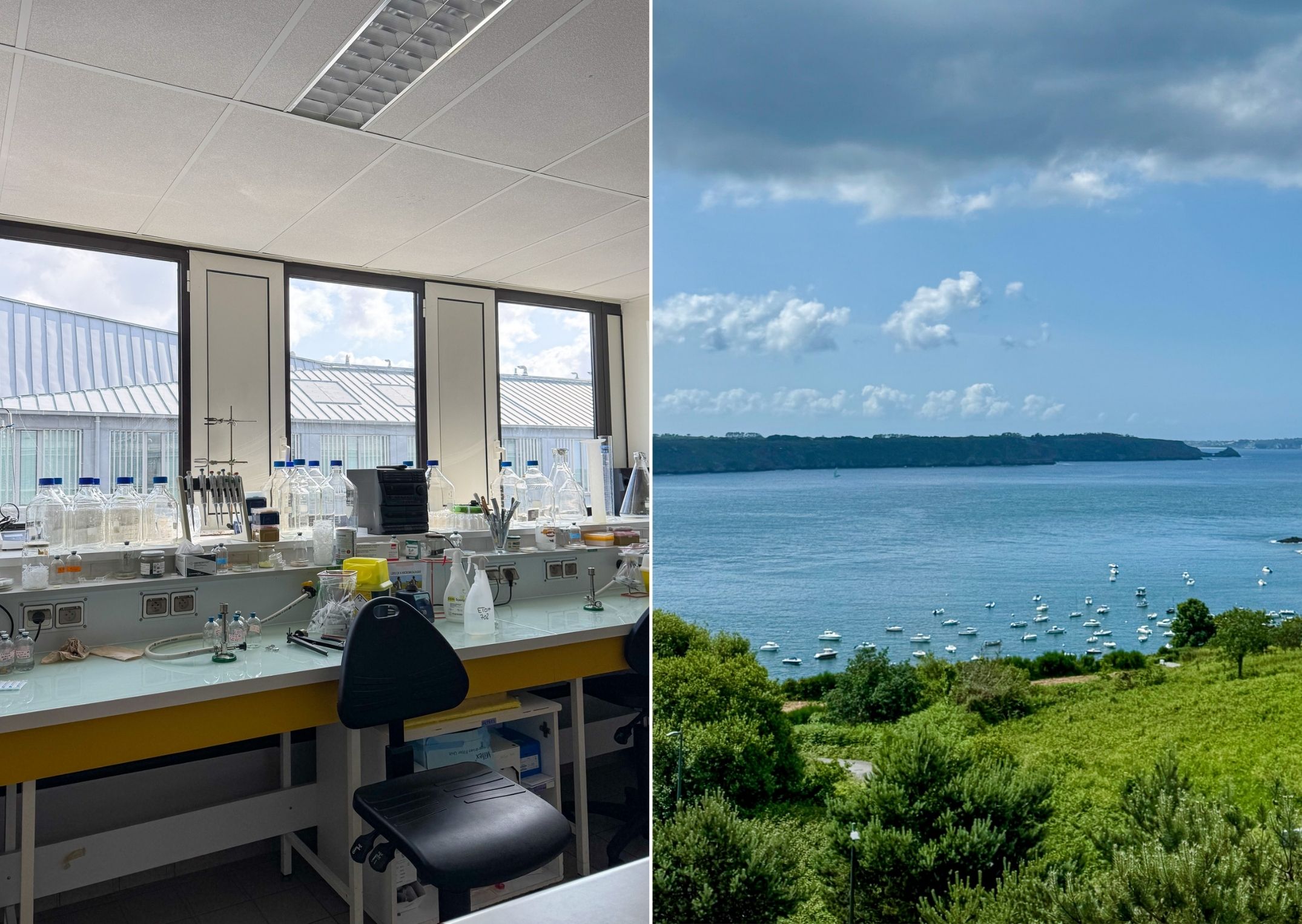 Side by side images showing indoor and outdoor views of the European Institute for Marine Studies