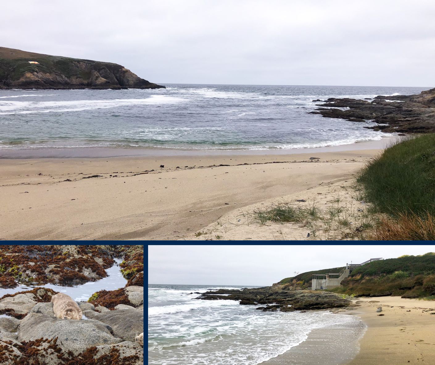 A collage showing views of Horseshoe Cove on the Bodega Marine Reserve