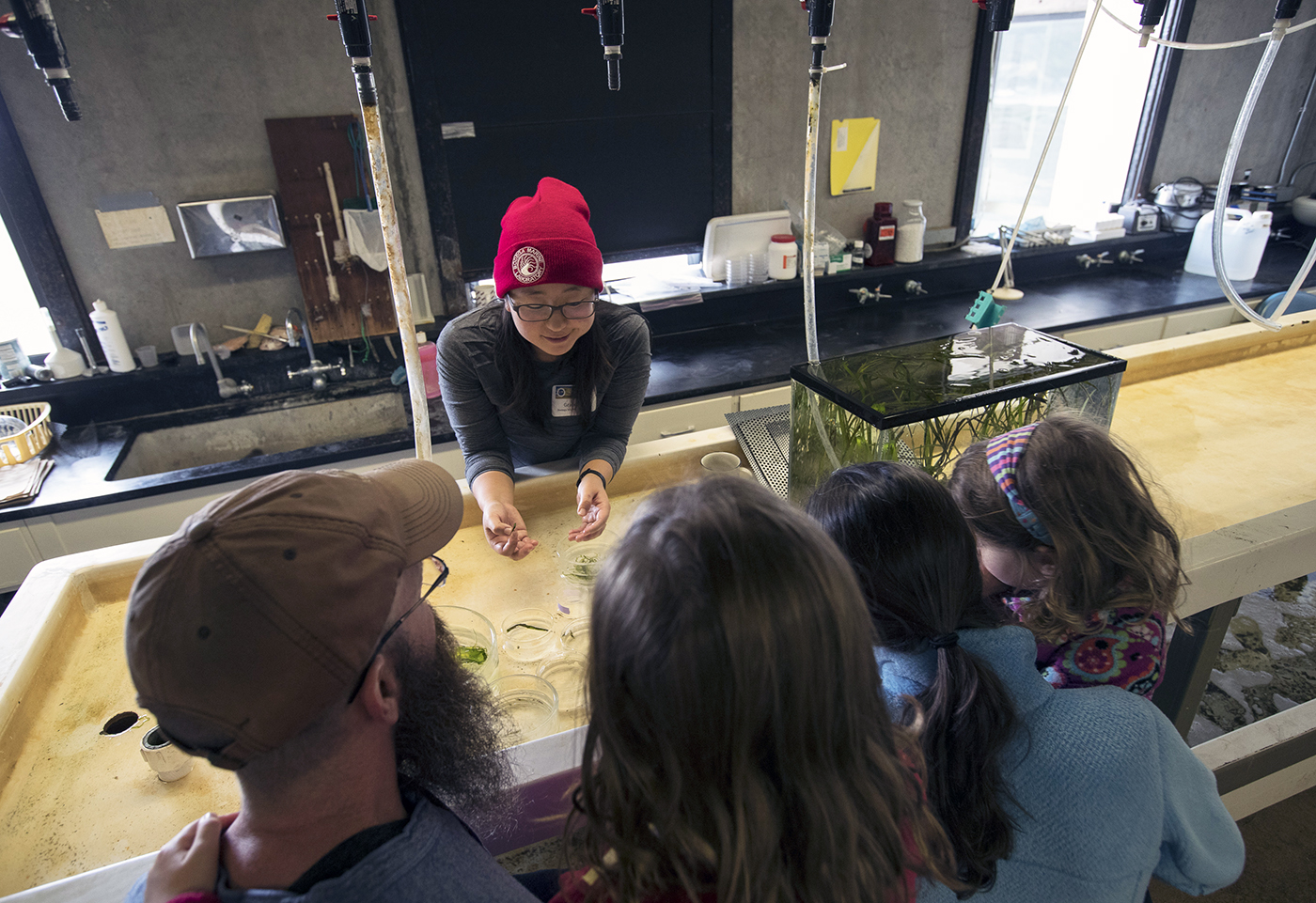 A group of people watching a person in a red BML beanie, who is leaning over a tank filled with water and seagrass while talking to them.