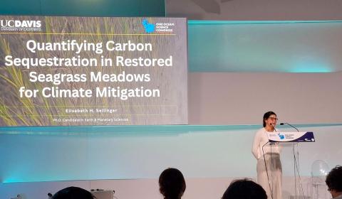 Elisabeth Sellinger presenting in front of an audience. A large screen shows a presentation titled "Quantifying Carbon Sequestration in Restored Seagrass Meadows for Climate Mitigation"