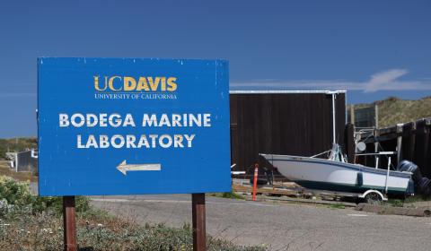 A large blue sign that reads "UC Davis Bodega Marine Laboratory" with an out of focus boat in the background.