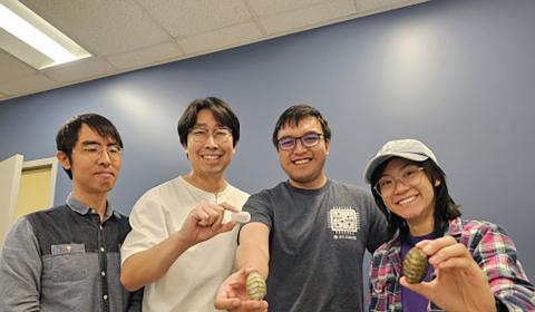 A group of people holding up small marine creatures called chitons