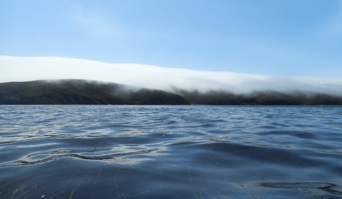 Water's surface with blades of green grass visible just below the water