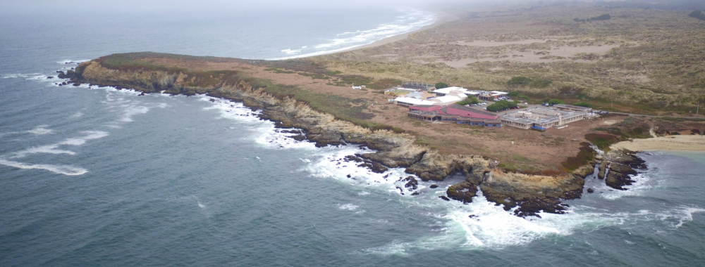 An aerial view of Bodega Marine Laboratory and the Bodega Marine Reserve