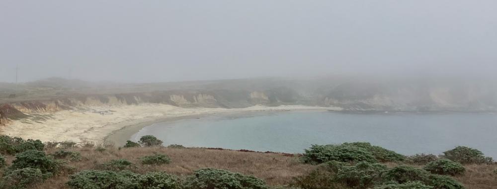 A foggy view of Horseshoe Cove