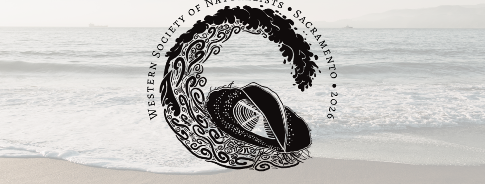 Black circular logo with stylized wave and velella velella