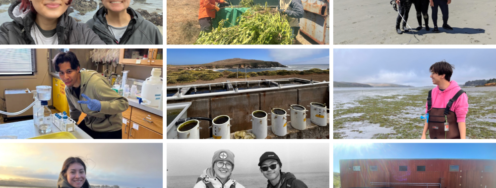 A collage of photos from interns in the 2025 SRJC-BML Internship Program cohort.