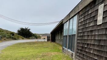West side of Miwok along driveway