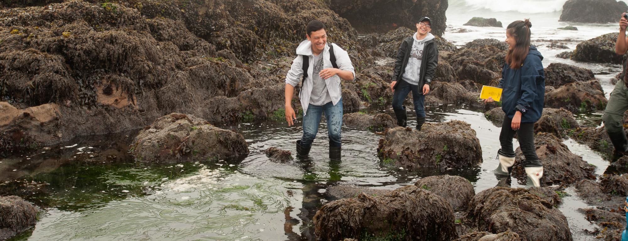 A student laughs as they step deep enough into a tidepool to flood their boots