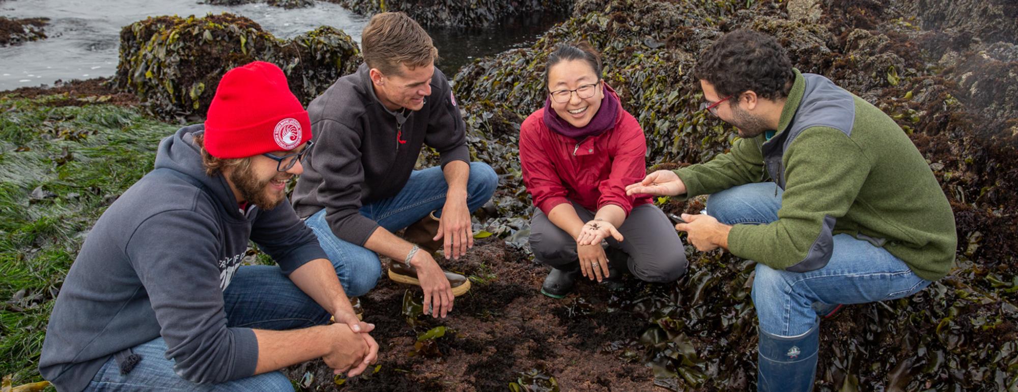A group of students crouching on the rocks in an intertidal area. One holds a small marine creature in their hand.