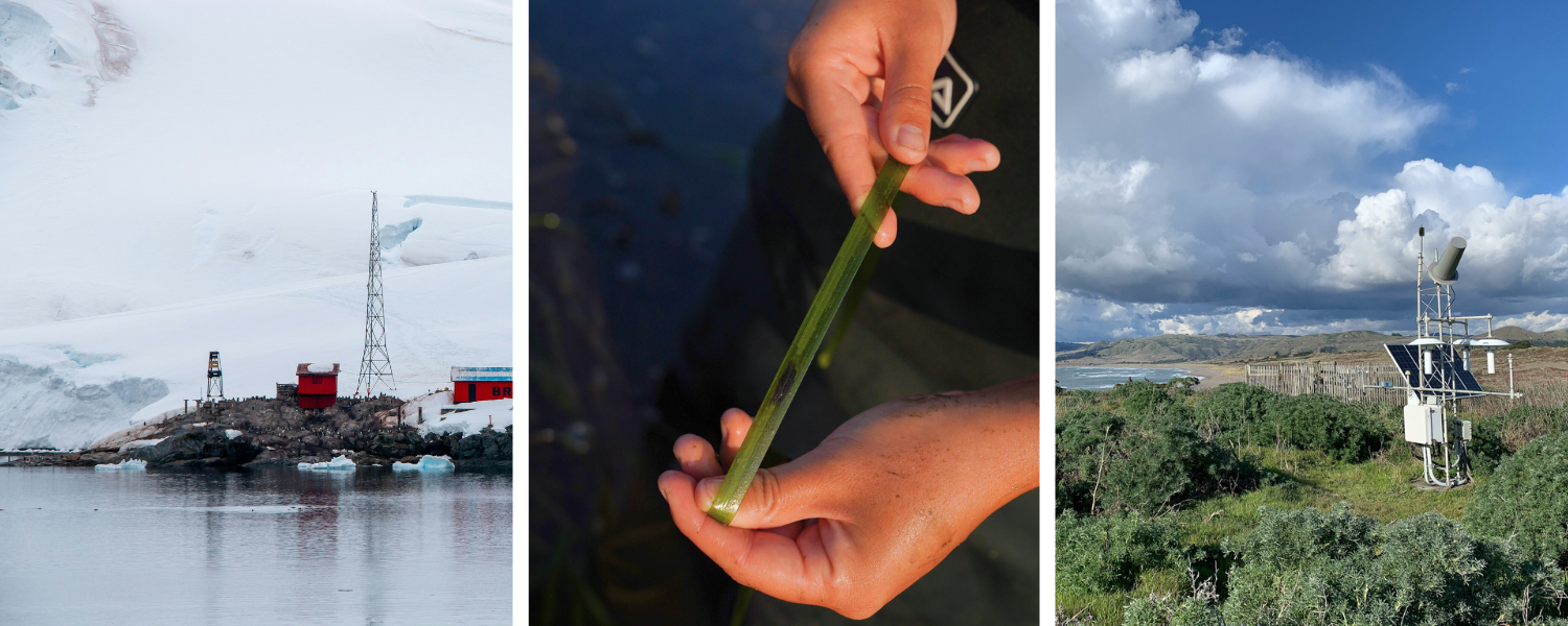 A collage of three images showing different facets of climate change research, including a research station in Antarctica, seagrass with a lesion on it, and oceanographic monitoring equipment.