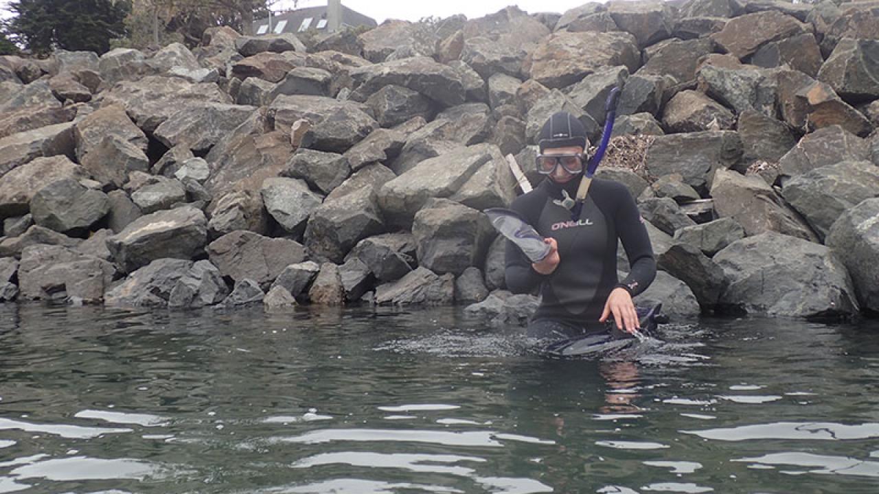 Getting ready to snorkel in the cold (!) Bodega Bay Harbor.