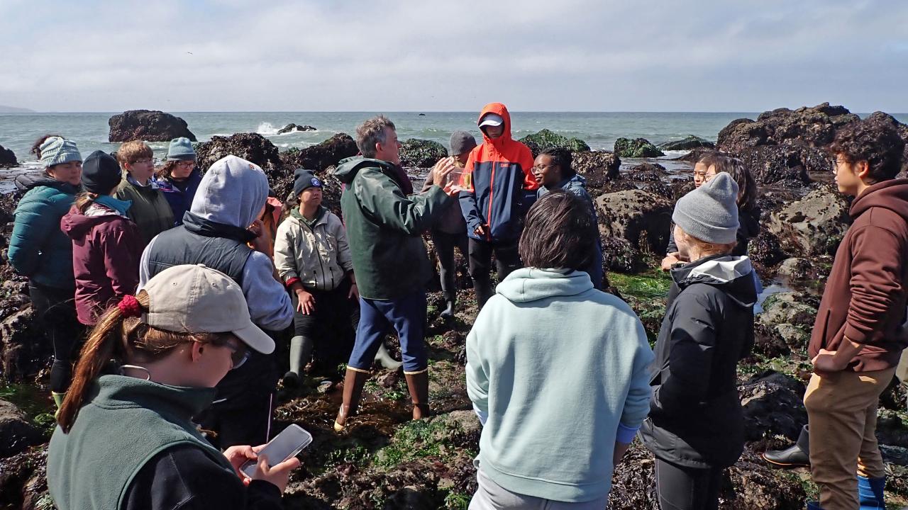 A group of students gathered on a rocky outcrop next to the ocean, watching as their professor teaches.