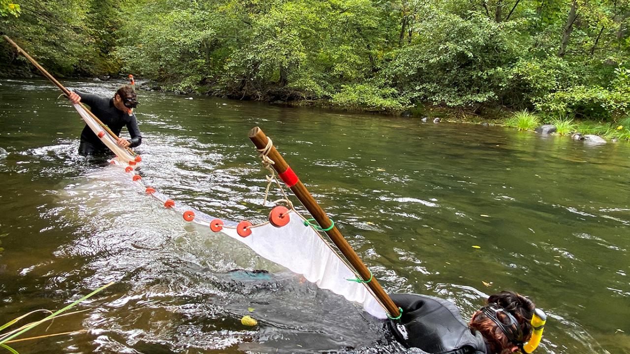 Two people standing in a creek with a large net