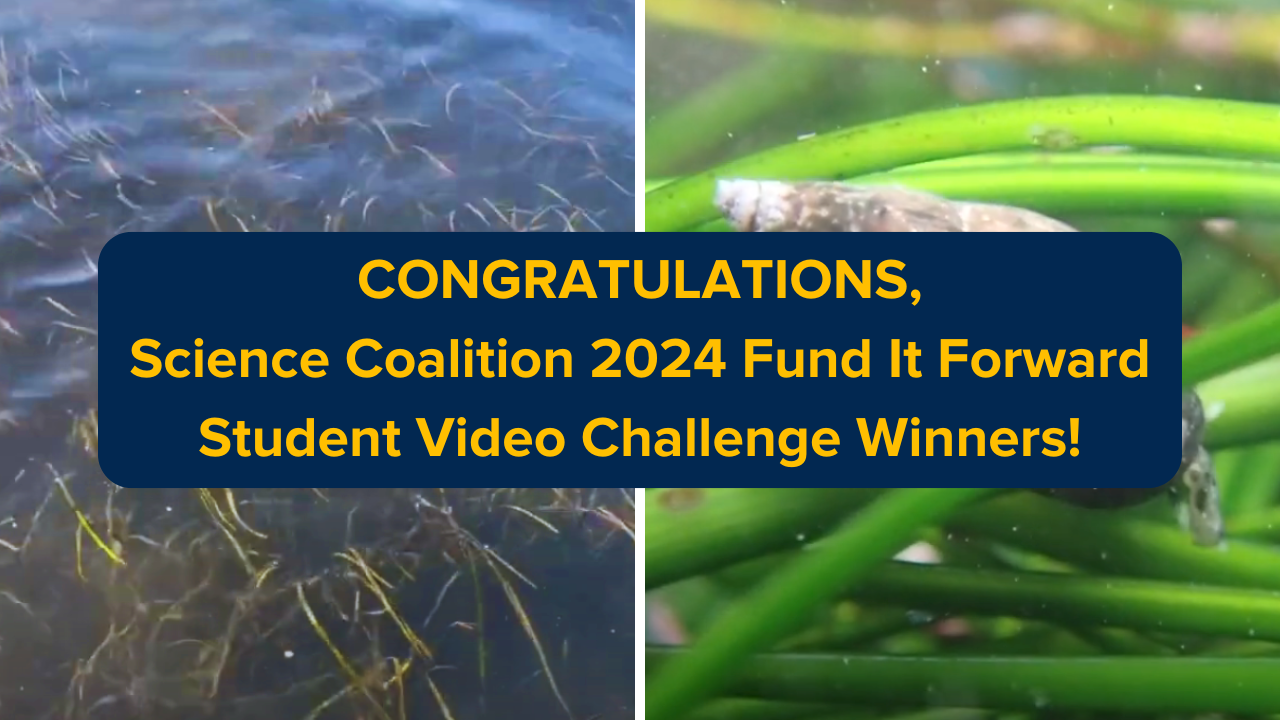 A banner of two screenshots with text overlaid that reads "Congratulations, Science Coalition 2024 Fund It Forward Student Video Challenge Winners!"