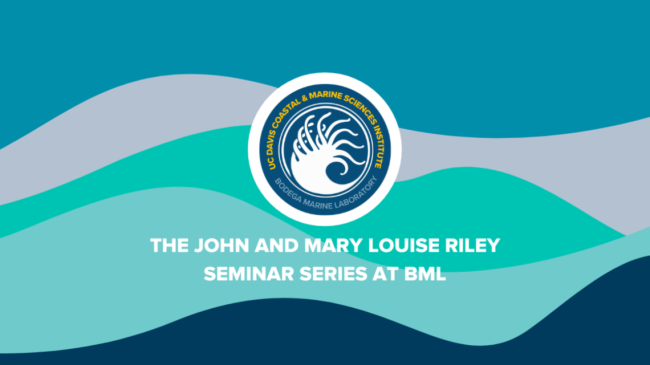 Wave-driven changes in beach sand levels | Coastal and Marine Sciences ...