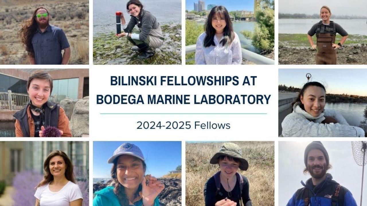 A collage of 10 portraits of the 2024-25 Bilinski fellows