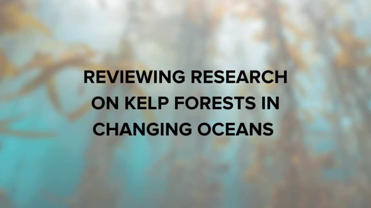 Reviewing Research on Kelp Forests in Changing Oceans