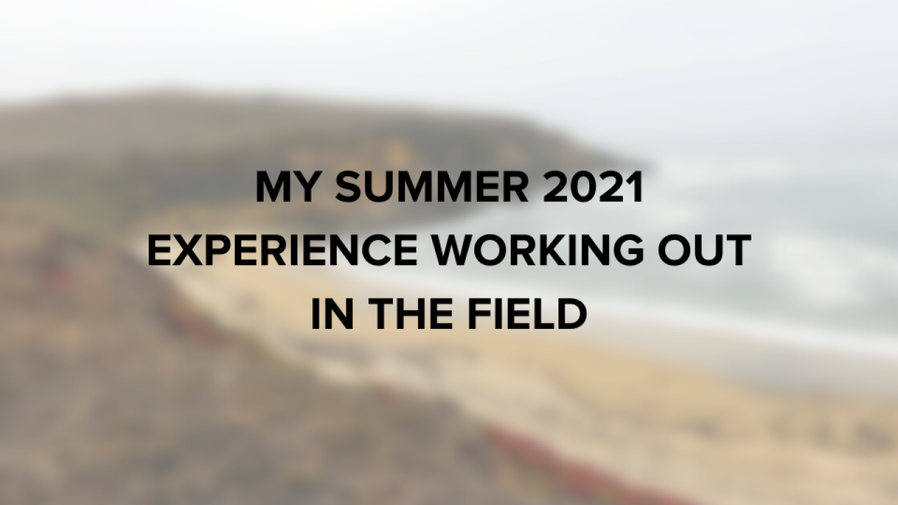 My summer 2021 experience working out in the field