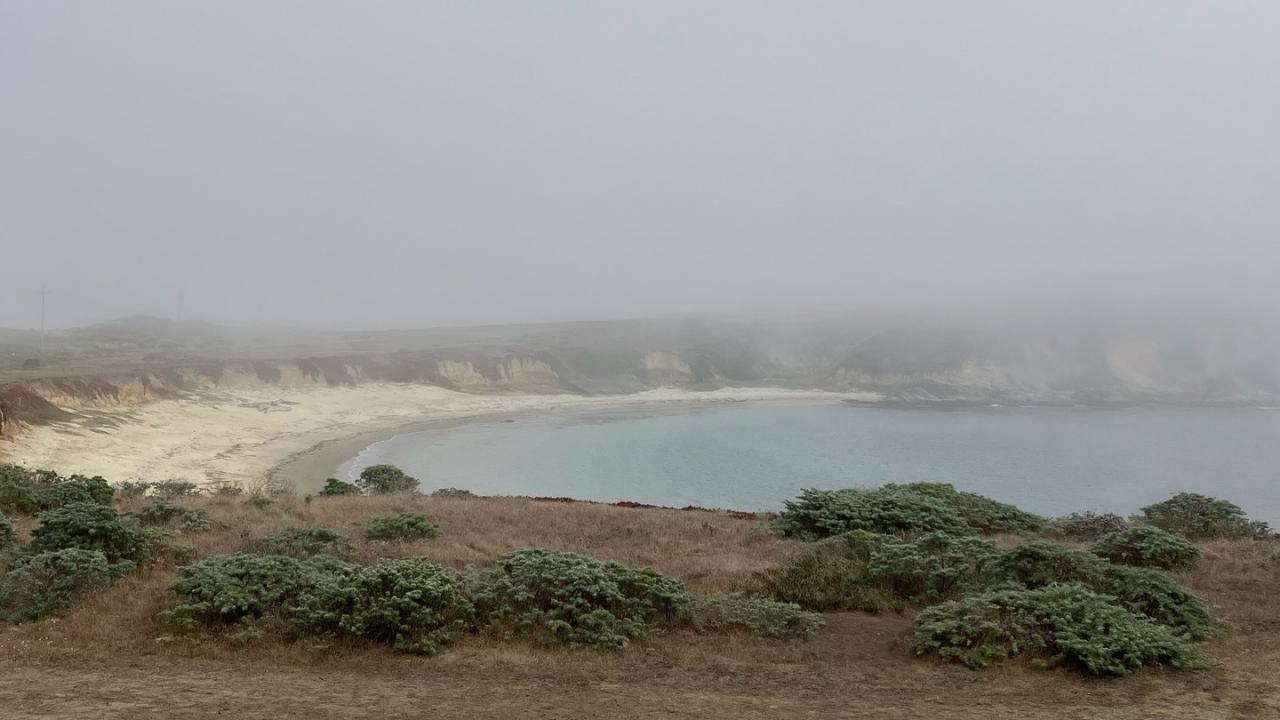 A foggy view of Horseshoe Cove