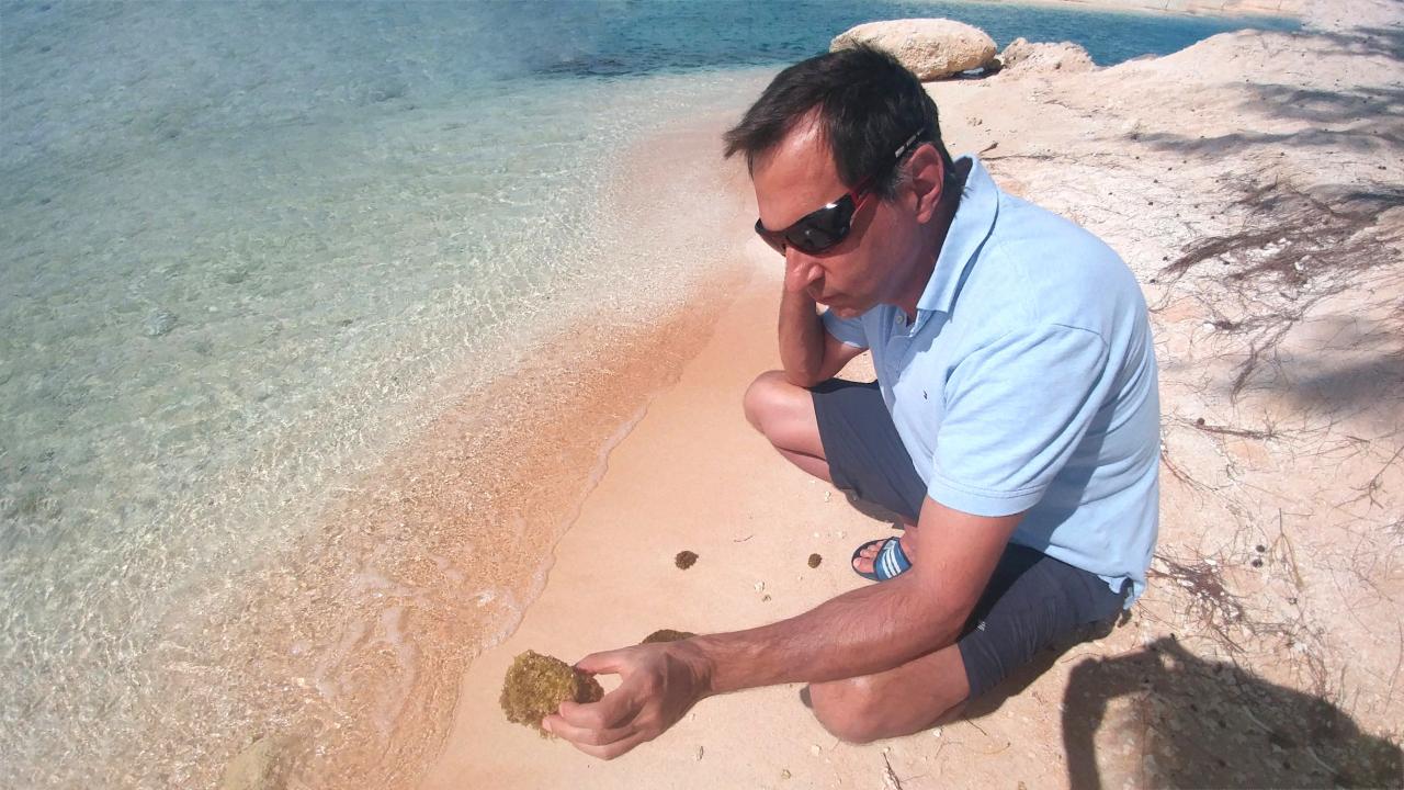 Image of a man examining a sponge along the shore.