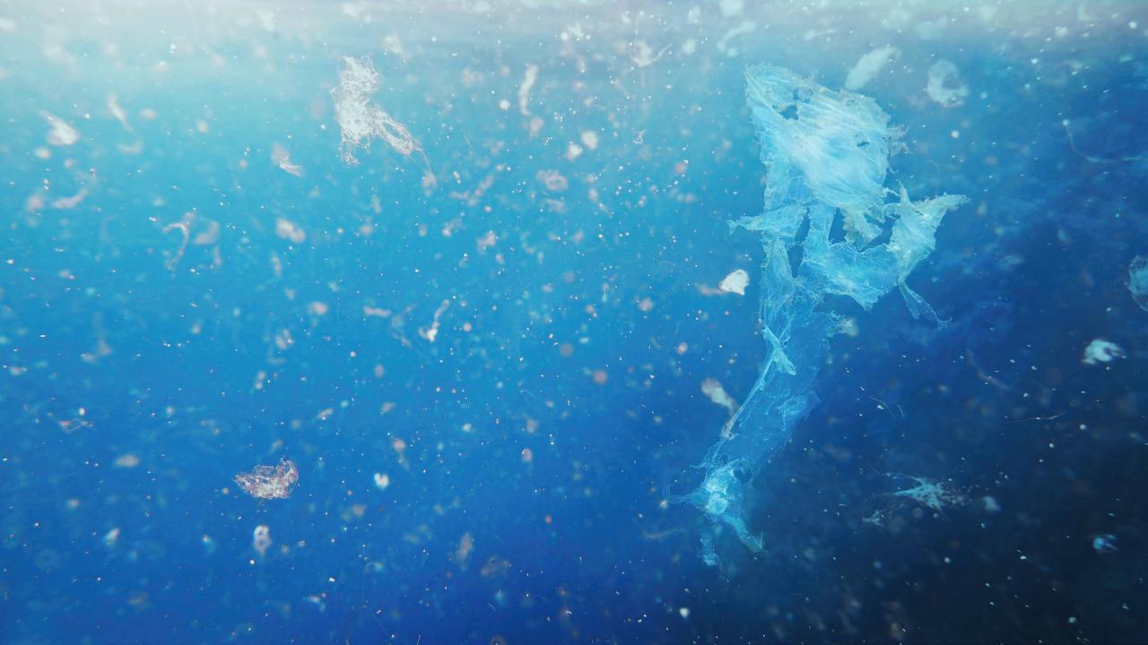 An underwater image with floating particles of clear plastic