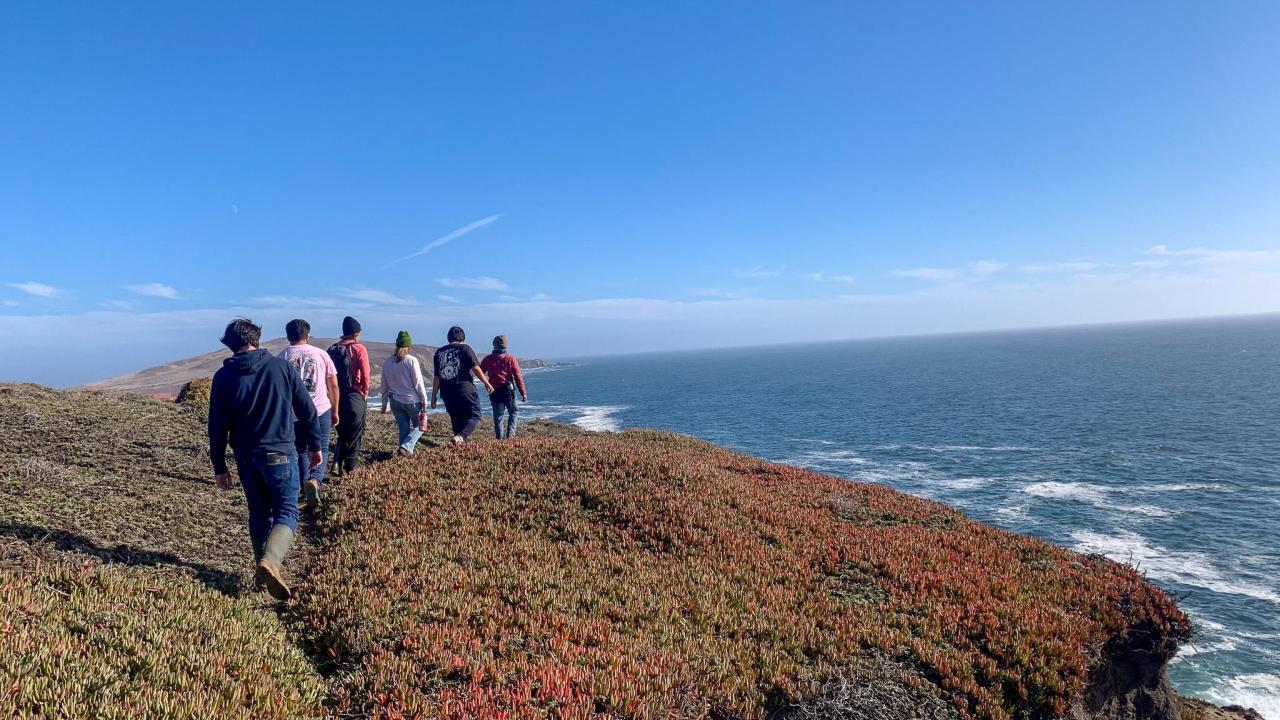 A row of students walking along a coastal bluff covered in ice plant