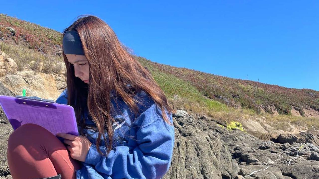 A person sitting on a rocky coastal area, making notes in a notebook