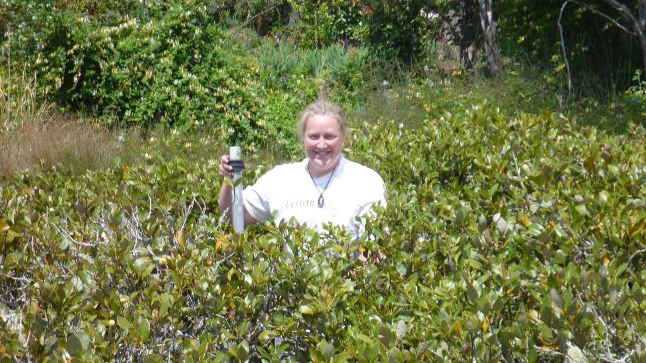 A photo of Carolyn Lundquist holding up a sample and standing chest deep in greenery.