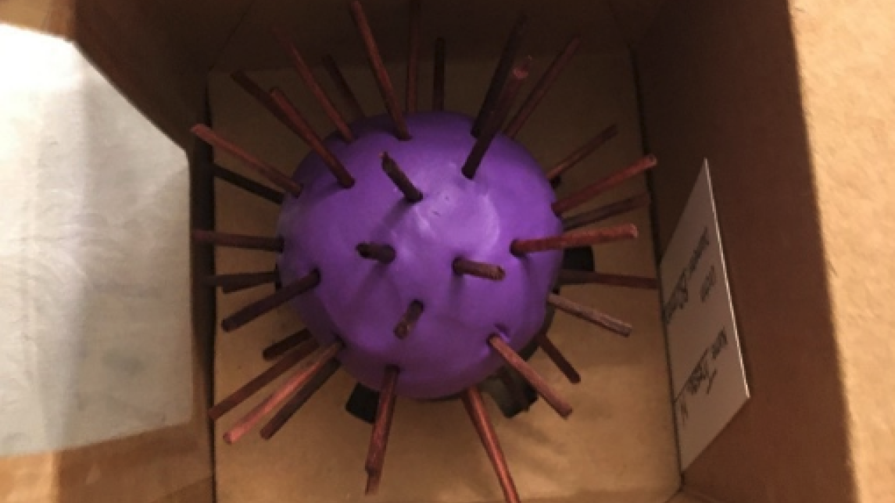 A small purple clay urchin in a cardboard box
