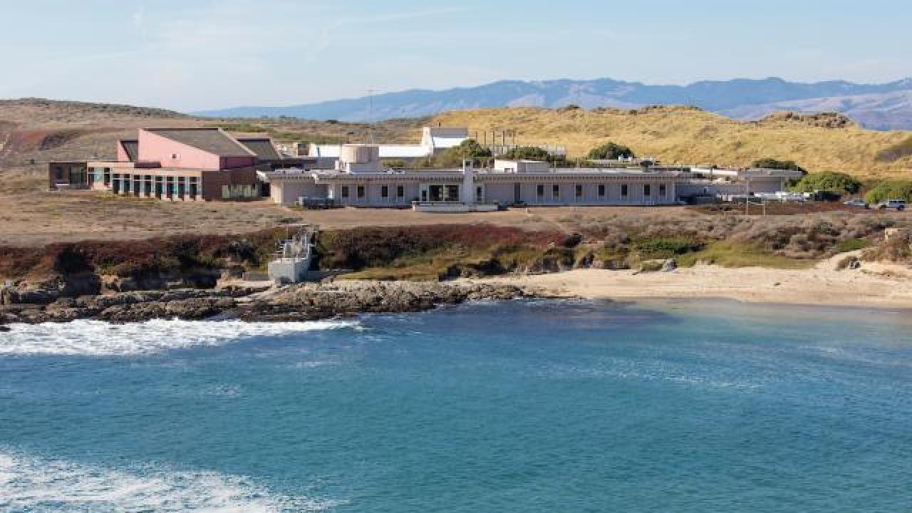 A view of Bodega Marine Laboratory from across Horseshoe Cove